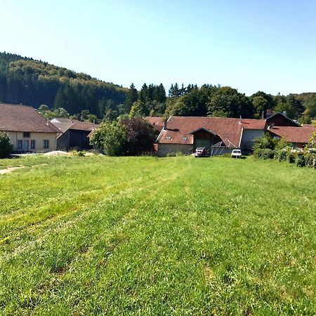 Gite Le Geleinfete II Vosges A Proximite De Gerardmer Herpelmont Kültér fotó